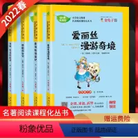 快乐都市吧 六年级下 [正版]2022春 快乐读书吧六年级下册爱丽丝漫游奇境骑鹅旅行记汤姆.索亚历险记鲁滨逊漂流记四本套