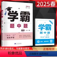 数学 九年级下 [正版]2025春 学霸题中题九年级下册数学苏科版SK 初中初三数学练习册 学霸九年级数学同步训练 9九