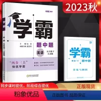 英语 九年级下 [正版]2023秋 经纶学霸题中题九年级下册英语江苏版 初三英语同步练习册 九年级下英语学霸提优课时作业