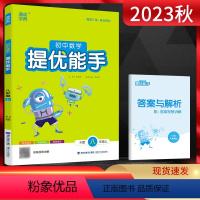 数学 八年级上 [正版]2023秋 通城学典提优能手八年级上册数学人教版RJ 初中数学提优能手八上数学 初中初二八年级数