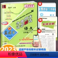 语文 五年级下 [正版]2023新版 孟建平各地期末试卷精选 语文 五年级下册 人教版 小学语文5年级下册单元同步练习册