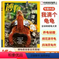 [正版]博物杂志博物2024年5月我滴个龟龟 中国国家地理青少年版中小学生自然科普百科全书