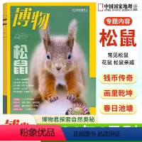 [正版]博物杂志博物2024年4月松鼠 中国国家地理青少年版中小学生自然科普百科全书