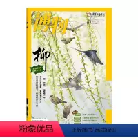 [正版]博物杂志博物2024年3月柳 含手绘拉页海报 中国国家地理青少年版中小学生自然科普百科全书