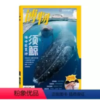 [正版]博物杂志2024年2月须鲸海中巨灵神 中国国家地理青少年版中小学生自然科普百科全书
