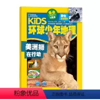 [正版]环球少年地理少年版杂志2024年3月刊 美洲狮在行动 kids美国国家地理少儿版6-12岁儿童科普百科全书自然