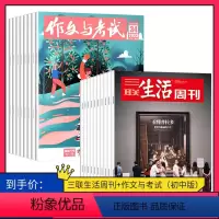 [正版]订阅 2024年全年 共88期2024年作文与考试初中版杂志+三联生活周刊杂志 2024年全年杂志订阅 共88