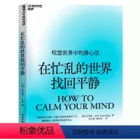[正版]湛庐在忙乱的世界找回平静 克里斯·贝利 平静才是你的高阶生产力 摆脱倦怠,找回精力充沛的自己