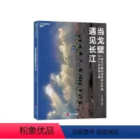 [正版]湛庐当戈壁遇见长江 长江人的玄奘之路 小刀崔 长江商学院 戈壁挑战赛 一堂关于赢的商学院必修课 经营管理