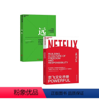 [正版]湛庐职场套装 远见+奈飞文化手册 共2册 超过1500万次的硅谷重要文件的深度解读 如何规划职业生涯3大阶段