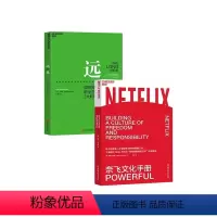 [正版]湛庐职场套装 远见+奈飞文化手册 共2册 超过1500万次的硅谷重要文件的深度解读 如何规划职业生涯3大阶段