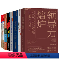 [正版]湛庐决策者的领导力系列9册 领导者+成为领导者+商界局外人+系统之美+要领+领导力密码+领导者的心智模型 管理