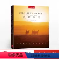 [正版]出版社直发绝地生灵