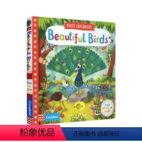 英文原版 小小探索家 鸟 [正版]少儿图书清仓合集B 24.9元专区 英文原版 儿童绘本 又日新