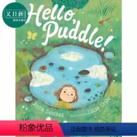 [正版]Hello, Puddle! 你好,小水塘 英文原版 进口原版 4岁到7岁 精装 儿童图画书 Anita Sa