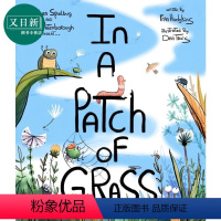 [正版]Dan Tavis:In a Patch of Grass 草丛中的世界 英文原版进口图书 自然绘本 动物知识