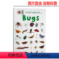 [正版]原版英文 Mad About Bugs 精装 洞穴昆虫 动物科普 幼儿启蒙