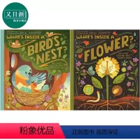 [正版]Rachel Ignotofsky 2册 鸟巢的构造 花儿里的东西 英文原版 儿童科普绘本图画书 精装进口童书