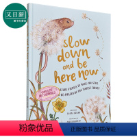 [正版]Freya Hartas Slow Down and Be Here Now 慢下来 在这里 英文原版 进口图