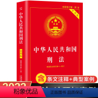 [正版]刑法典中国法制出版社 中华人民共和国刑法一本通 刑法修正案十一 中国刑法法条释义 刑法及司法解释全书