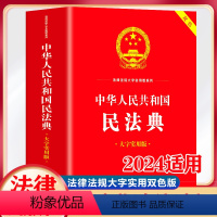 [正版]中华人民共和国民法典 大字实用版 双色郝英兵编著条文主旨名词解释实用问答典型案例相关法律法规及司法解释名词解释