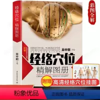 [正版]完整版人体经络穴位图解书籍图册 中医经络图解养生书籍 中医经络穴位按摩大全书籍使用手册 十二经络书 艾灸刮痧穴