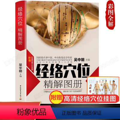 [正版]完整版人体经络穴位图解书籍图册 中医经络图解养生书籍 中医经络穴位按摩大全书籍使用手册 十二经络书 艾灸刮痧穴