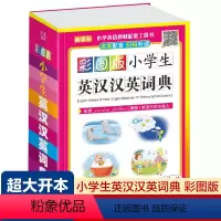 [正版]超大开本 扫码听读小学生英汉汉英词典2022年新版彩图版 英语词典中小学生多功能新英汉互译字典