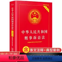 [正版]中华人民共和国刑事诉讼法实用版新版新刑诉法条单行本法律常识刑事诉讼法条司法解释理解与适用法律法规条文书籍小红本