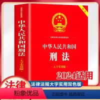 [正版]中华人民共和国刑法 大字实用版 双色 条文主旨名词解释 实用问答典型案例内容全面实用法律法规大字实用版系列法
