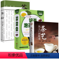 [正版]茶艺书籍全3册 茶艺从入门到精通识茶泡茶品茶茶经书籍中国茶叶知识大全喝茶品茶礼仪茶叶品茶文化关于茶叶知识的书绿