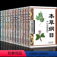 [正版]全套12册中医经典书籍 本草纲目黄帝内经金匮要略神农本草经伤寒论百草良方千金要方汤头歌诀偏方秘方难经脉经针灸甲