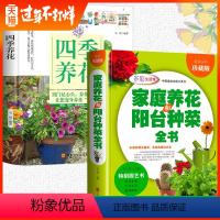 [正版]全2册花草阳台种菜+四季养花实用百科 多肉养殖种植阳台养花栽培花卉书籍图书大全 盆景造型设计花卉养殖技术种花家