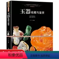 [正版]器收藏与鉴赏 新疆和田玉岫玉独山玉绿松石酒泉玉青海玉东陵玉水晶玛瑙水晶 玉石种类特点功效收藏鉴别保养 玉器初步
