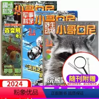 2024年3月 3本(军事科学/趣味科学/野生动物) [正版]2024年3月上市小哥白尼杂志3本装(2023年1/2/3