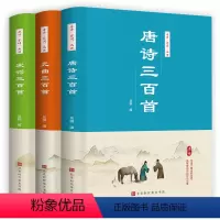 [正版]全套3册唐诗宋词元曲三百首全集详析 小学生全唐诗宋词精选古诗词鉴赏辞典中国古诗词大全集中国美古诗词国学经典咏流