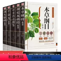 [正版]全套5册汤头歌诀+本草纲目+神农本草经+千金方+中草药全图鉴全套医学类书籍原著中医基础理论全彩图大全 凤凰含章