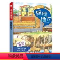 探秘地下 [正版]百科知识翻翻书 探秘地下 3d立体书儿童绘本情境体验翻翻书幼儿版世界儿童探秘恐龙书大探秘恐龙书籍0-3