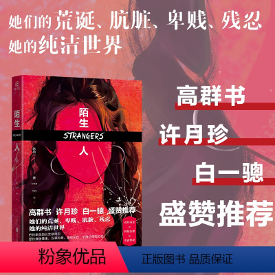 [正版]《陌生人》 连环凶杀+钟情妄想+雪夜祭祀 雁北堂签约作家陈妍一 新书