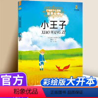 小王子 [正版]小王子 打动孩子心灵的世界经典 外国儿童文学经典二年级三年级四五六年级小学生课外书阅读物故事书老师童书少