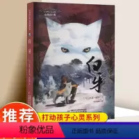白牙 [正版]打动孩子心灵的动物经典 白牙 (美)杰克·伦敦 外国儿童文学书籍 小学生课外书6-12岁少儿动物小说故事书