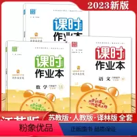 [全套3册]语文+数学+英语 六年级下 [正版]2023春新版六年级下册课时作业本小学数学语文英语全套人教版苏教版译林通