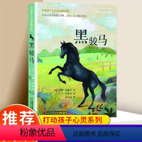 黑骏马 [正版]黑骏马 打动孩子心灵的动物经典 儿童文学经典二年级三年级四五六年级小学生课外书阅读物故事书老师童书少儿童