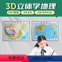 [正版]共2张中国和世界地形图 3d立体凹凸地图挂图 42cm遥感卫星影像图三维浮雕地理地势地貌 初高中学生教学家用墙