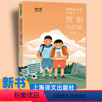 贾里小时候 [正版]贾里小时候全传彩虹日记心香可人乐子的四季开心男孩一个女孩的成长心灵史小说三四五年级课外书阅读译文出版