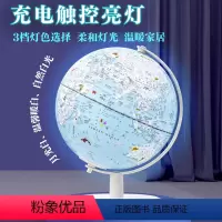 AR灯光地球仪(王子蓝) [正版]抖音同款双子座儿童AR地球仪儿童礼物20cm小号 地理地球仪学生用摆件 送礼发光台灯