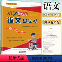 [正版]小学毕业班语文总复习宁波出版社六6年级小升初语文系统总复习考点专题专练1-6年级语文知识大全专项复习小升初语文