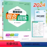 语文 七年级下 [正版]新版 通成学典 初中语文基础知识组合训练 7七年级下册人教版 初一7年级下册语文基础知识积累运用