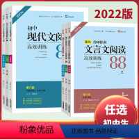 全套3本[现代文+文言文+英语] 七年级/初中一年级 [正版]木头马初中现代文言文阅读高效训练88篇七八九年级名师特训阅