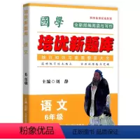 语文竞赛题库 小学六年级 [正版]国学培优新题库 语文 6年级语文竞赛题库上下册通用语文综合知识素质教育大全小学生六年级